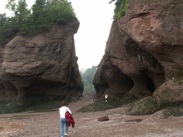 pict3266.jpg