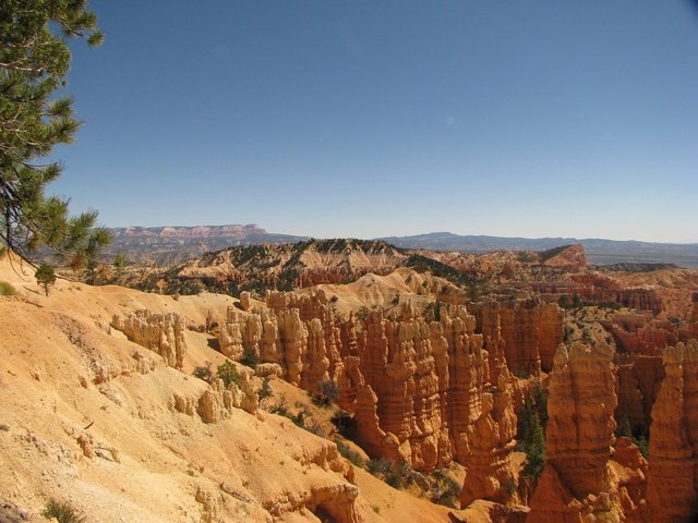 sta_4536.jpg