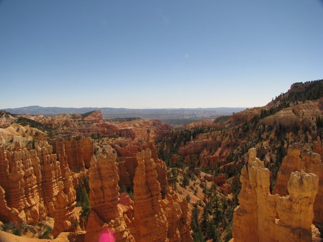 stb_4537.jpg