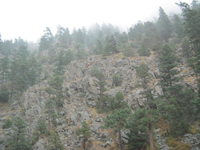 img_0197.jpg