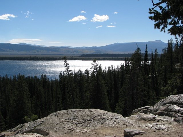 img_3980.jpg