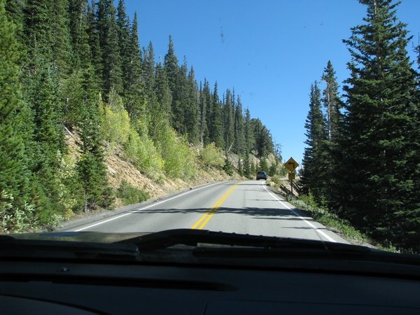img_3517.jpg