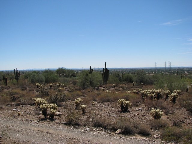 img_5282.jpg