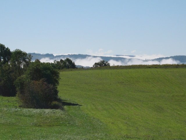 img_0019.jpg