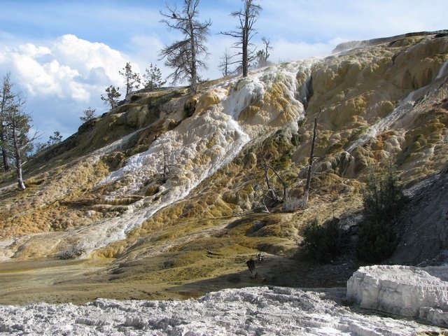 img_4283.jpg