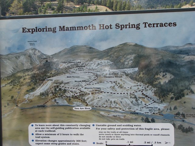 img_4285.jpg