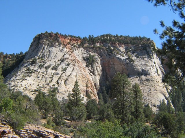 img_4705.jpg