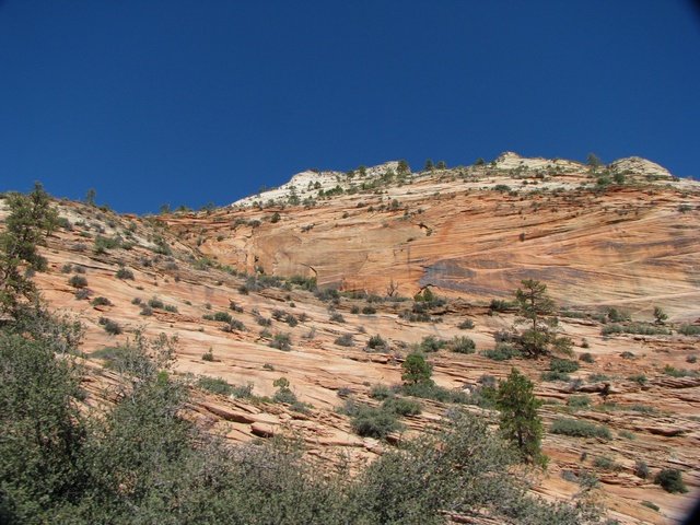img_4715.jpg