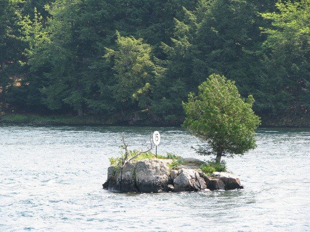 img_0794.jpg